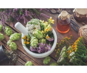 "Image displaying a variety of adaptogenic herbs such as ginseng, ashwagandha, and rhodiola, renowned for their stress-reducing properties as natural remedies for menopause symptoms.