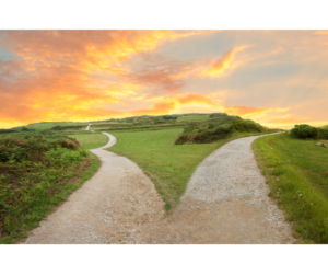 A scenic fork in the road, symbolizing the life choices and directions one can take for emotional autonomy.