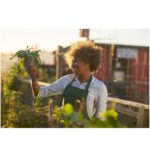 A woman gardening in the sunlight, engaging in an activity that boosts Vitamin D levels, as recommended in 'The Sunshine Vitamin: 20 Ways to Boost Your D Levels Naturally' article.