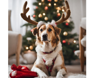 Cheerful dog surrounded by Christmas decorations, embodying the joy of Christmas gifts for dog lovers