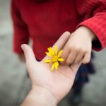 A delicate flower held gently in a hand, symbolizing the beauty and joy found in life's small, simple pleasures. Simple Habits for Happiness