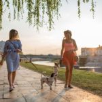 A woman practicing mindfulness, taking a peaceful walk in nature with a friend and their dogs.