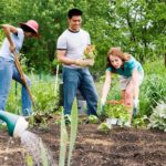 working together in a community garden. The power of human connection. 