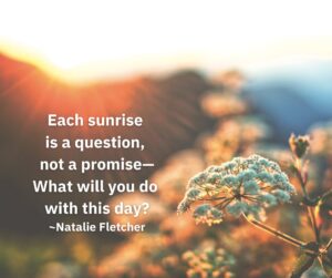 Each sunrise is a question, not a promise— What will you do with this day? ~Natalie Fletcher