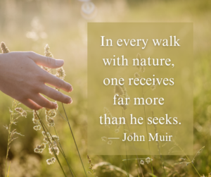 A hand gently brushing through tall grass, overlaid with the quote: 'In every walk with nature, one receives far more than he seeks.' — John Muir. The image emphasizes the calming benefits of nature.