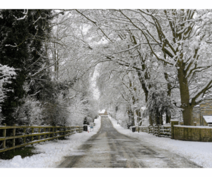 A peaceful winter road lined with snowy trees, symbolizing calm during the colder months and highlighting stress and the body connection.
